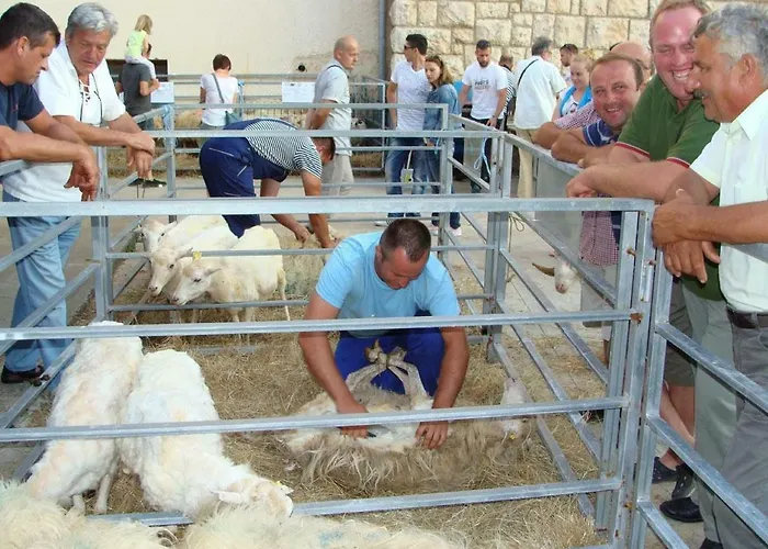 דירה Adriatic Arteon *