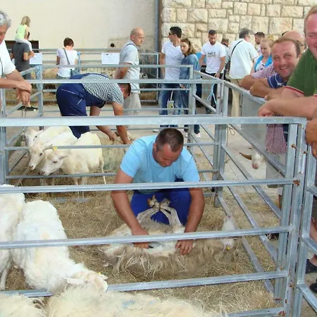 Lejlighed Adriatic Arteon *